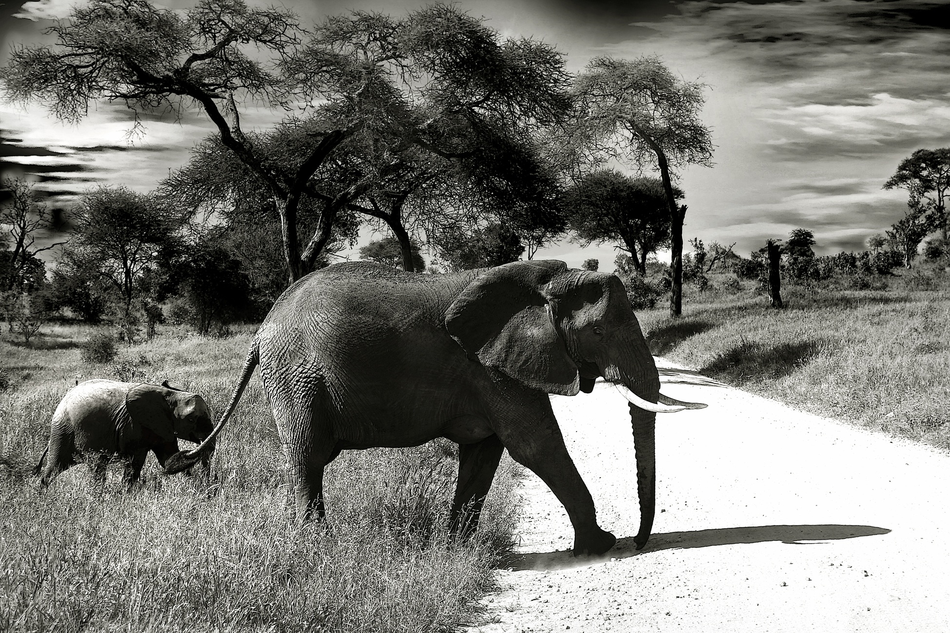 Africa deals